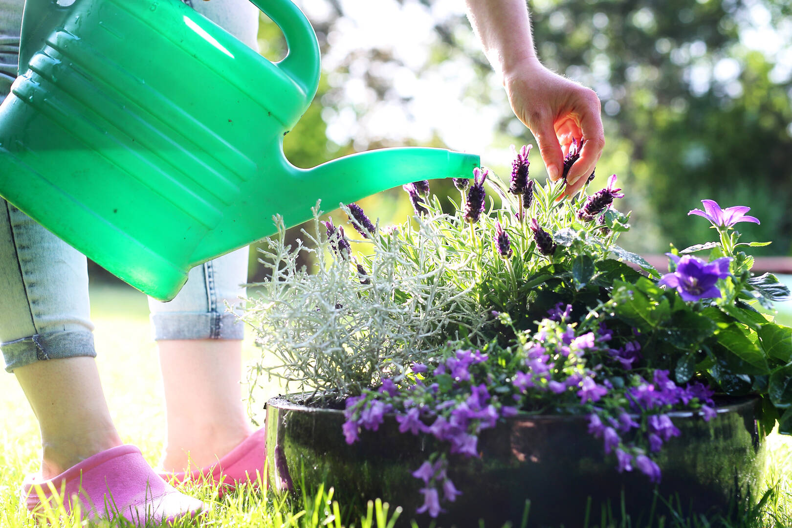 O'Brien Outdoors, Tree Service