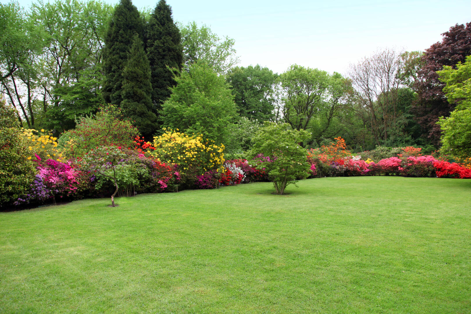 Green Pro Lawns