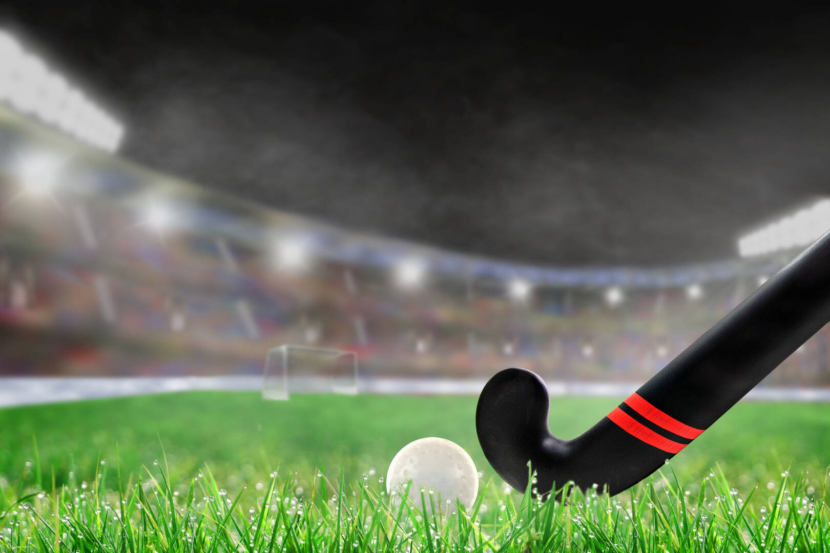 Glauber's Sports