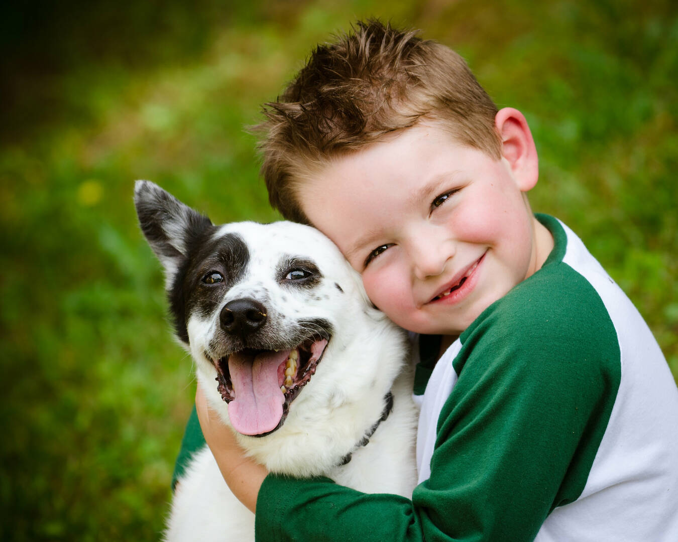 Baywood Animal Hospital