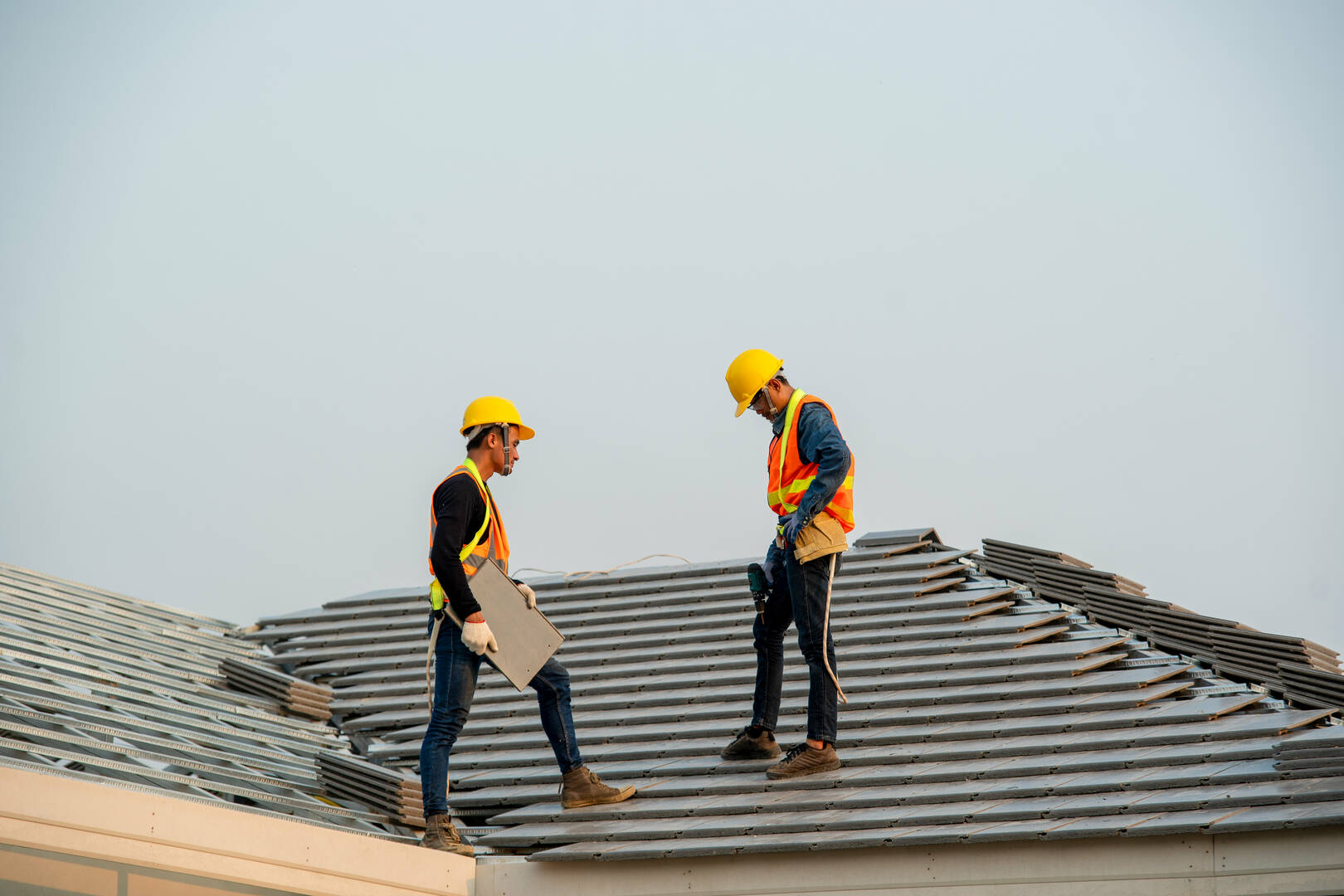 Tom Buzzard Co.